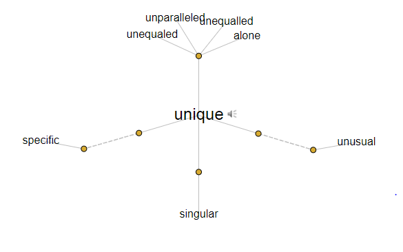 another word for unique_map